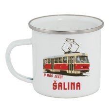 Plecháček - Šalina